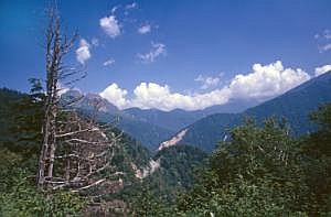 japan1984_1163