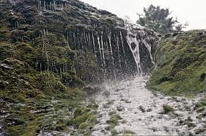 japan1984_1172