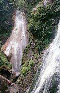 japan1984_1175