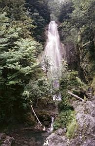 japan1984_1176
