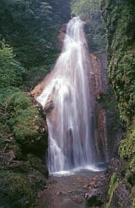 japan1984_1177