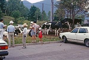 japan1984_1179