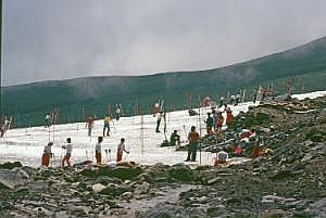 japan1984_1187