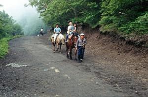 japan1983_0295