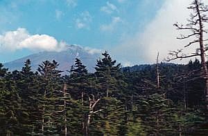 japan1983_0305