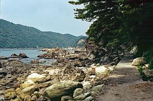 japan1984_0796