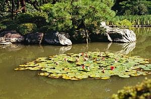 japan1983_0340