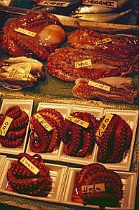 japan1983_0410