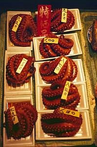 japan1983_0411