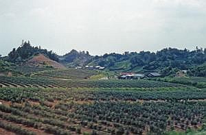 japan1983_0625