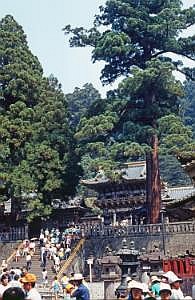 japan1983_0641