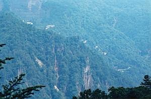 japan1983_0677
