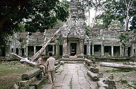 Angkor: Ta Prohm Tempel