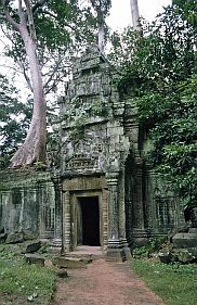 Angkor: Ta Prohm Tempel