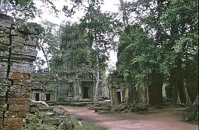 Angkor: Ta Prohm Tempel