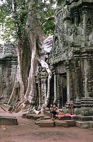 Angkor: Ta Prohm Tempel