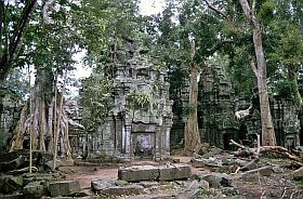 Angkor: Ta Prohm Tempel