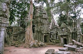 Angkor: Ta Prohm Tempel