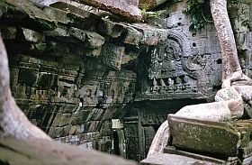 Angkor: Ta Prohm Tempel