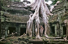 Angkor: Ta Prohm Tempel - Ich in den Wurzeln von Tetrameles nudiflora