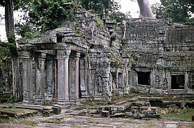 Angkor: Ta Prohm Tempel