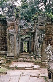 Angkor: Ta Prohm Tempel