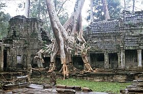 Angkor: Tempel Preah Khan