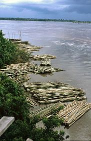 Blick auf den Mekong bei Sambok - Bambusfle