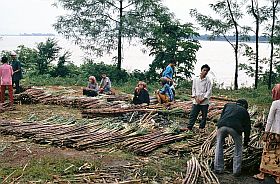 Kompong Cham: Verkauf von Zuckerrohr