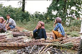 Kompong Cham: Verkauf von Zuckerrohr