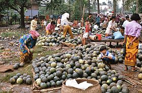 Kompong Cham: Verkauf von Melonen