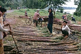 Kompong Cham: Verkauf von Zuckerrohr