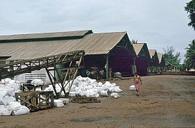 Umgebung von Kompong Cham: Kautschukfabrik