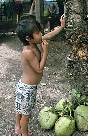 Weg nach Bong Long: Junge mit Kokosnssen