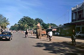 Elefant auf der Hauptstrae