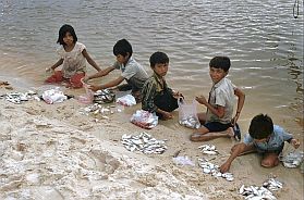 Umgebung von Sihanoukville: Fischerdorf - Kinder sortieren Fische
