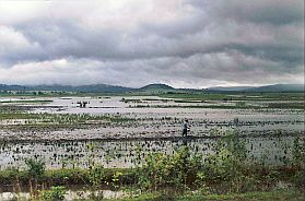 Umgebung von Sihanoukville