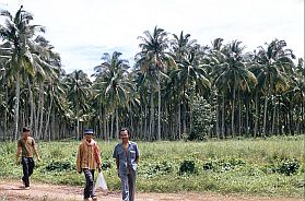 Umgebung von Sihanoukville