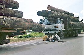 Umgebung von Sihanoukville: Holztransporte