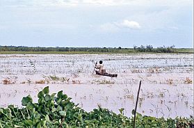 Angkor Borei: Fahrt mit dem Einbaum im Reisfeld