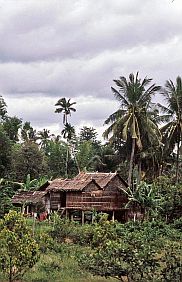 Umgebung von Kampot: Bauernhaus