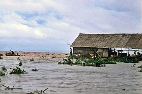 Tonle Sap See: Fischzucht