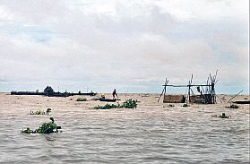 Tonle Sap See: Fischzucht