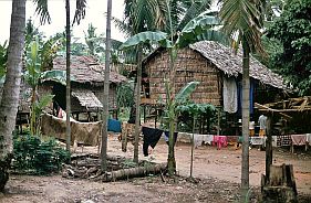 Bei Siem Reap: Bauernhaus