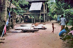 Bei Siem Reap: Im Hof trocknet Fisch