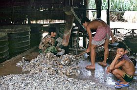 Bei Siem Reap: Fische stampfen fr Prahok