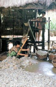 Bei Siem Reap: Fische stampfen fr Prahok
