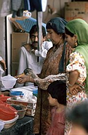 Srinagar: Einkauf mit Ente auf dem Basar