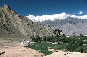 Leh: Das fruchtbare Seitental des Indus