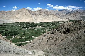 Leh: Das fruchtbare Seitental des Indus